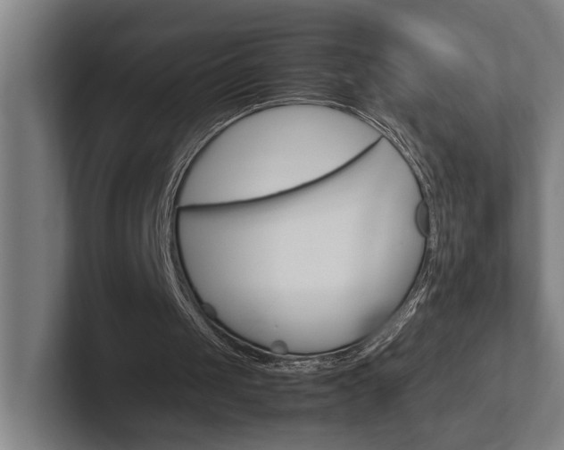 X0000102800049200808180941