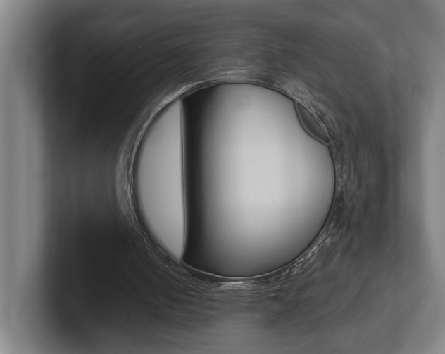 X0000102800050200808180941