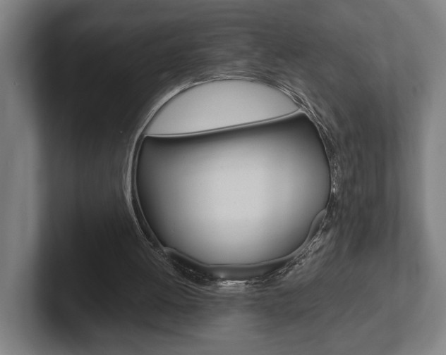 X0000102800052200808180941