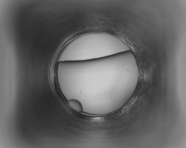 X0000102800053200808180941