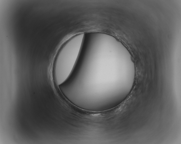 X0000102800054200808180941