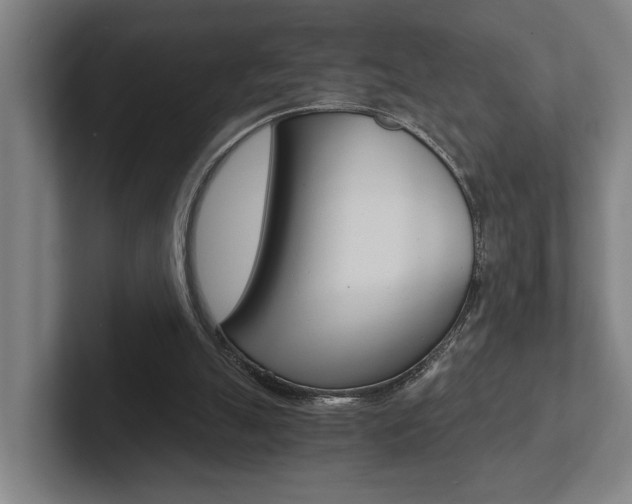 X0000102800055200808180941