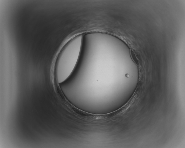 X0000102800056200808180941