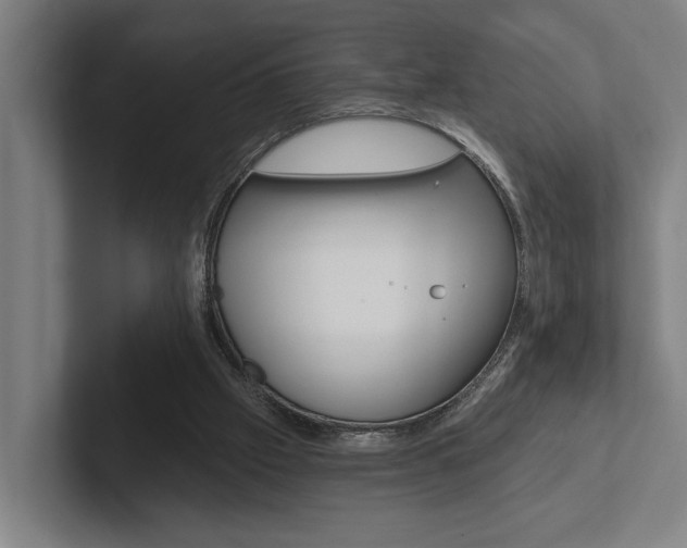 X0000102800057200808180941