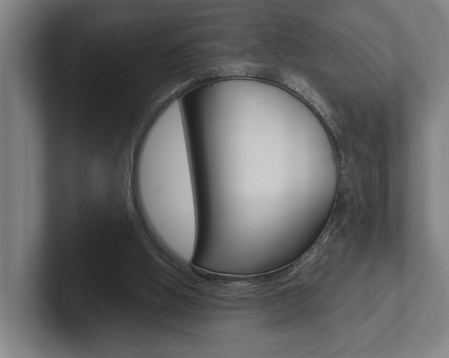 X0000102800058200808180941