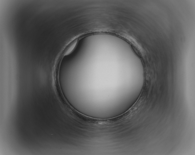 X0000102800060200808180941