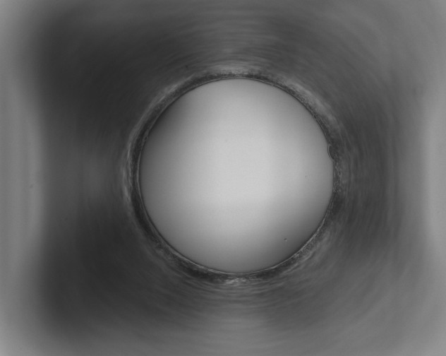 X0000102800064200808180941