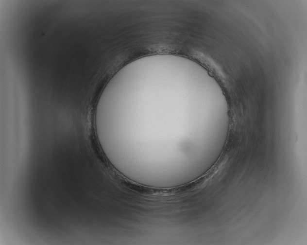 X0000102800065200808180941
