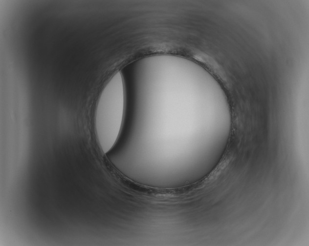 X0000102800066200808180941