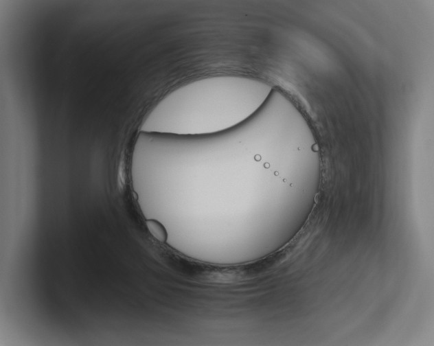 X0000102800069200808180941