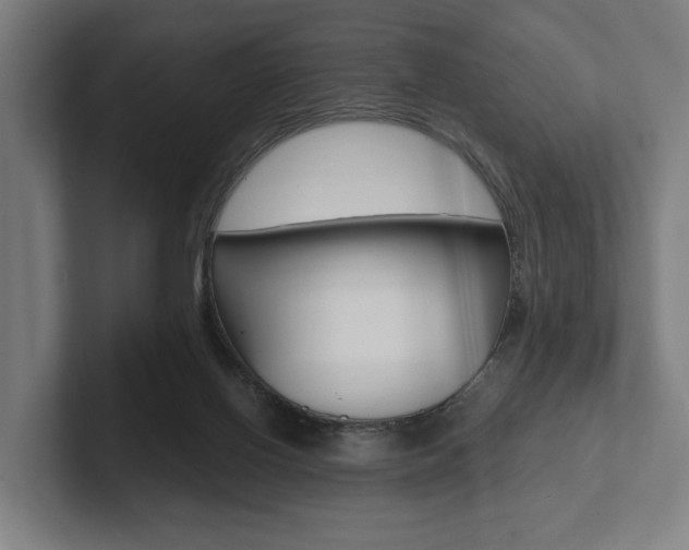 X0000102800070200808180941