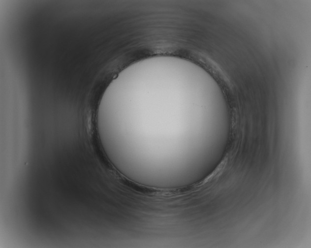 X0000102800074200808180941
