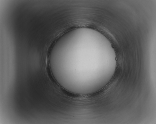 X0000102800076200808180941