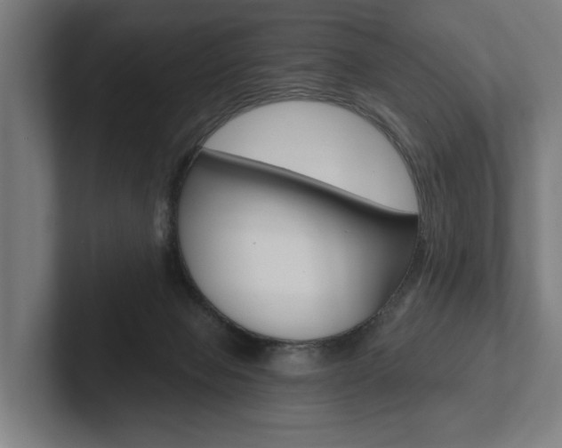 X0000102800077200808180941