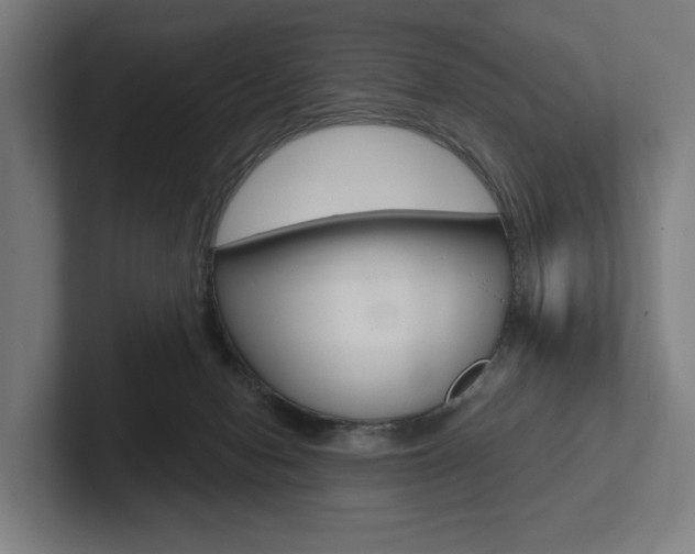 X0000102800078200808180941
