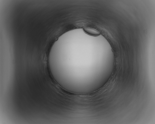 X0000102800081200808180941