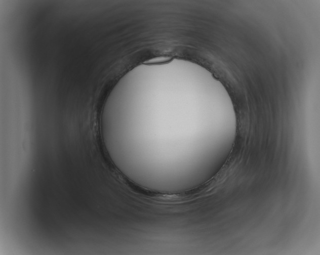 X0000102800085200808180941