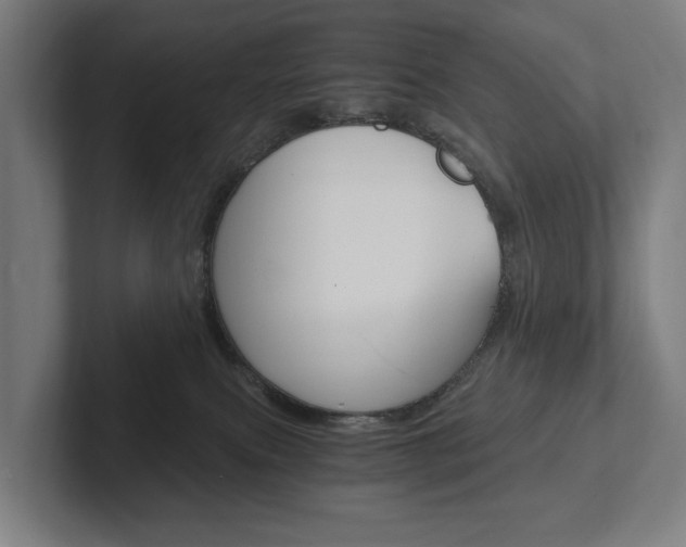X0000102800087200808180941