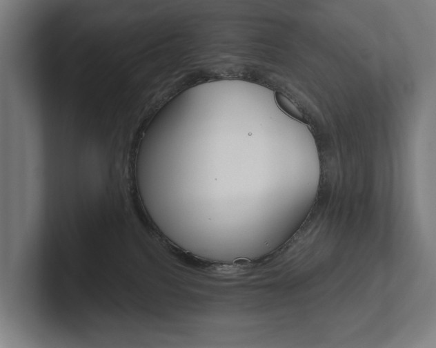 X0000102800088200808180941
