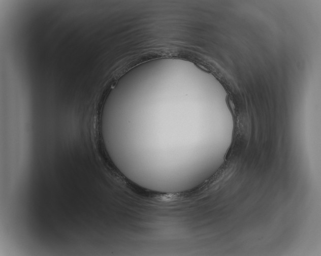 X0000102800092200808180941