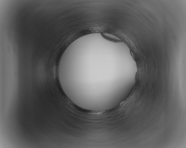 X0000102800093200808180941