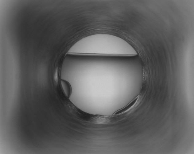 X0000102800094200808180941