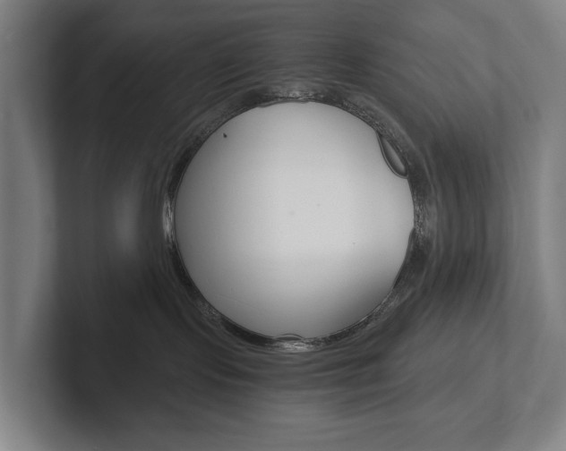 X0000102800095200808180941