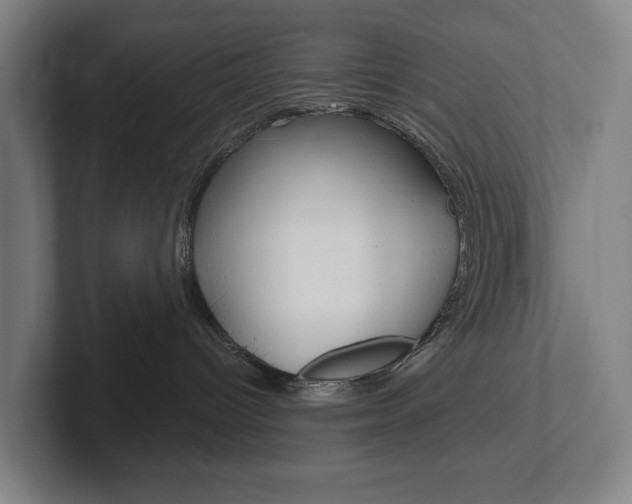 X0000102800096200808180941