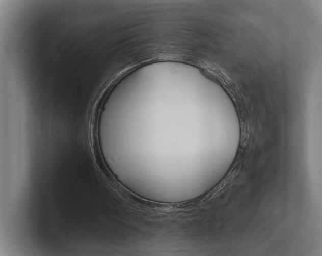 X0000102800098200808180941