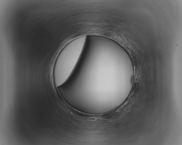 X0000102800099200808180941