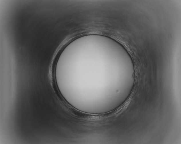 X0000102800102200808180941