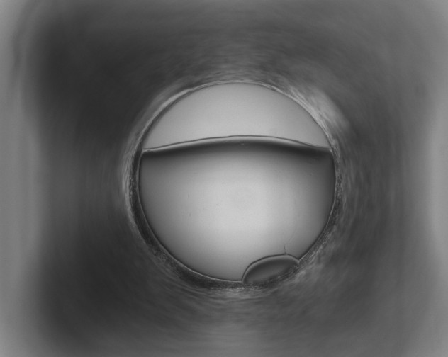 X0000102800103200808180941
