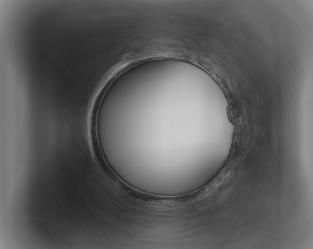 X0000102800104200808180941