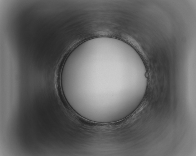 X0000102800106200808180941
