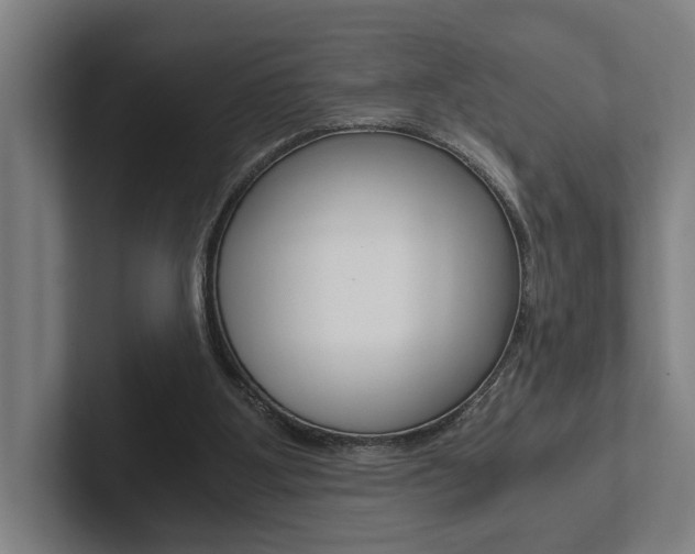 X0000102800107200808180941