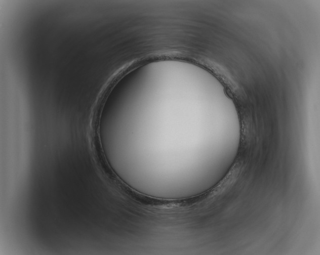 X0000102800112200808180940