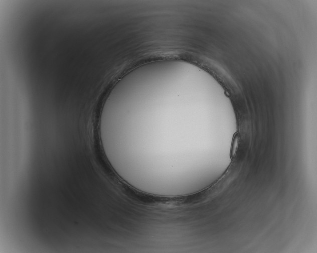 X0000102800120200808180940