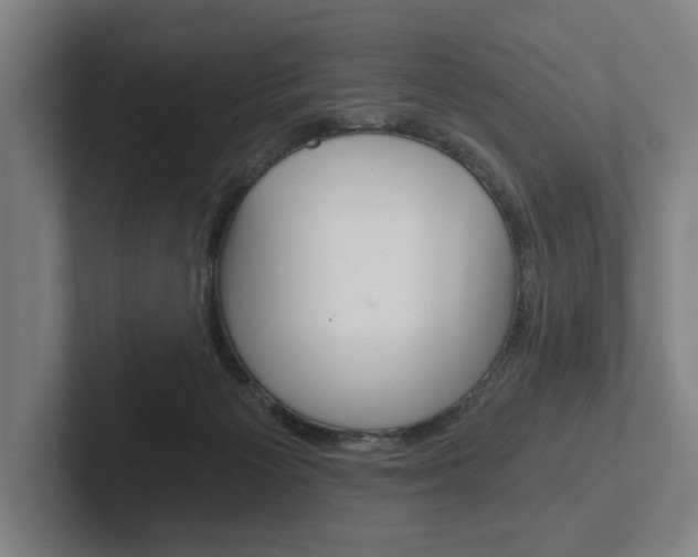 X0000102800125200808180940