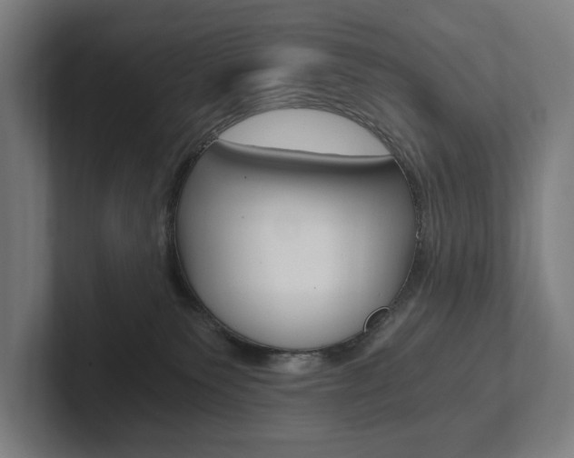X0000102800135200808180940
