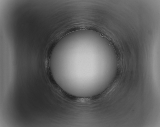 X0000102800137200808180940