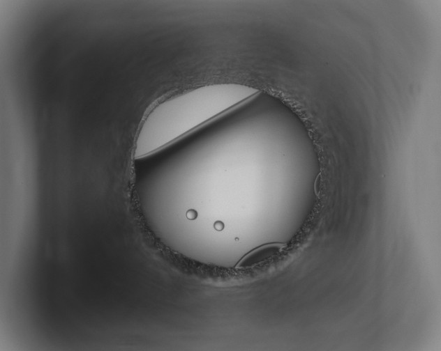 X0000102800144200808180940