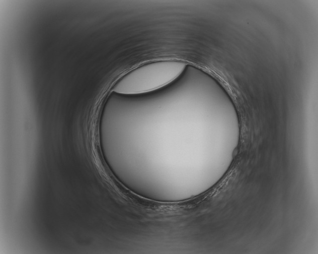 X0000102800145200808180939