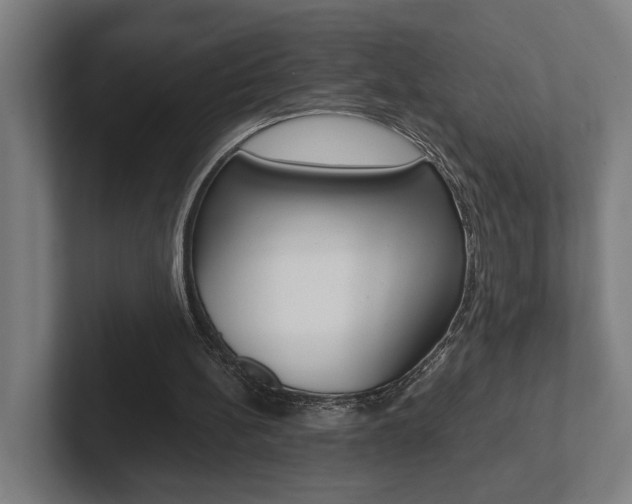 X0000102800148200808180939
