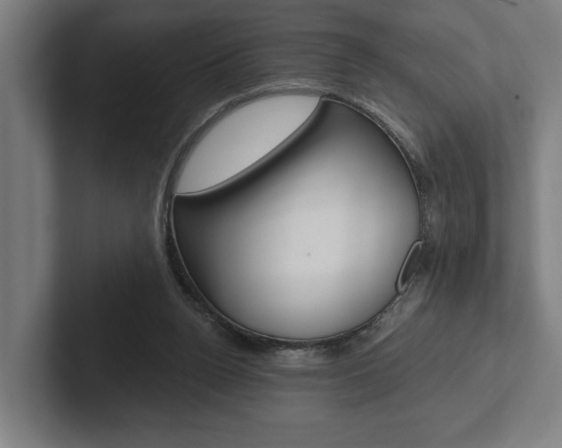 X0000102800160200808180940