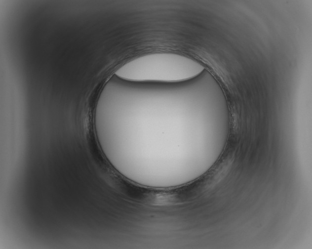 X0000102800165200808180940
