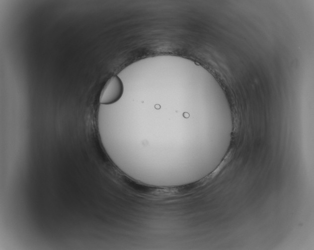 X0000102800179200808180940