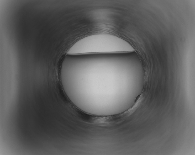 X0000102800182200808180940