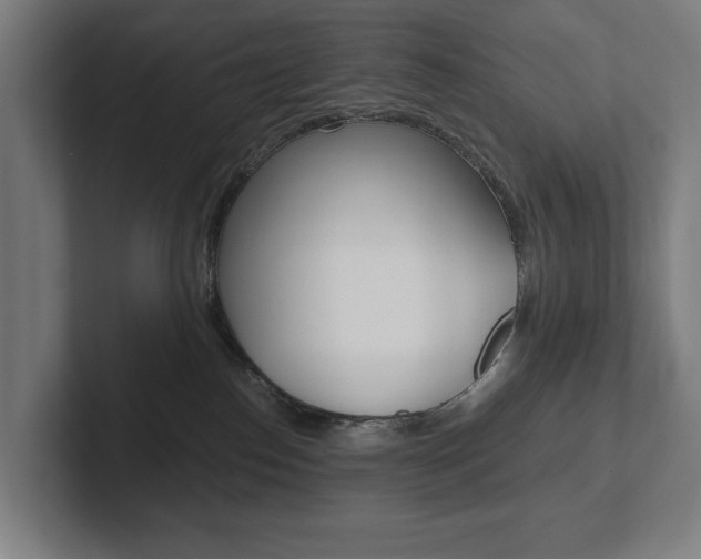 X0000102800186200808180940