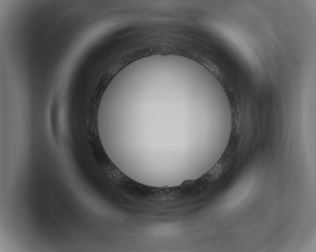 X0000102800189200808180940