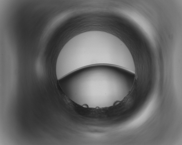 X0000102800190200808180940